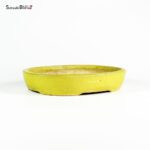 T2556 25.0x21.2x4.8 - Mazan - immagine 2