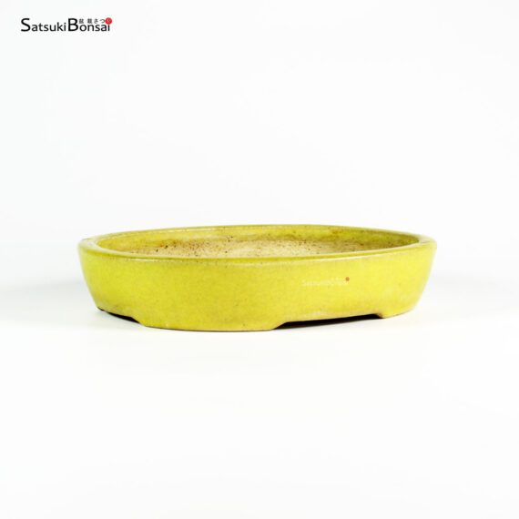 T2556 25.0x21.2x4.8 - Mazan - immagine 2