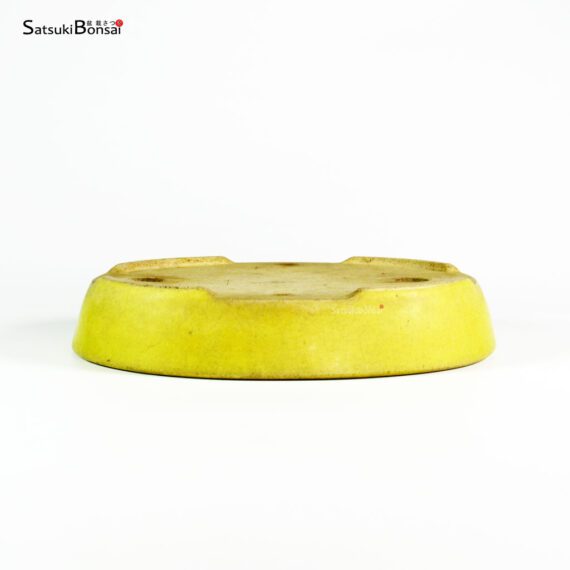 T2556 25.0x21.2x4.8 - Mazan - immagine 3