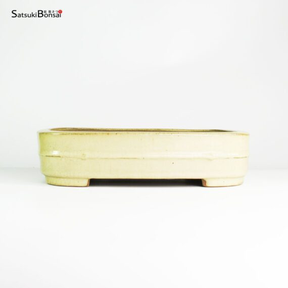 T2586 32.0x23.5x7.5 - Reiho - immagine 1