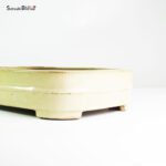 T2586 32.0x23.5x7.5 - Reiho - immagine 3