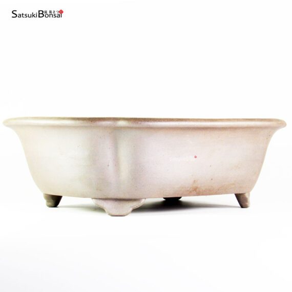 T25124 40.5x34.0x12.0 - Reihou - immagine 2