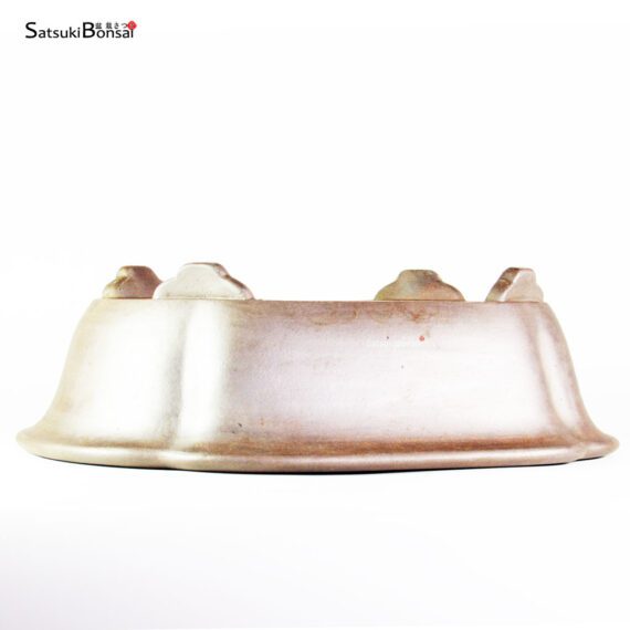 T25124 40.5x34.0x12.0 - Reihou - immagine 3