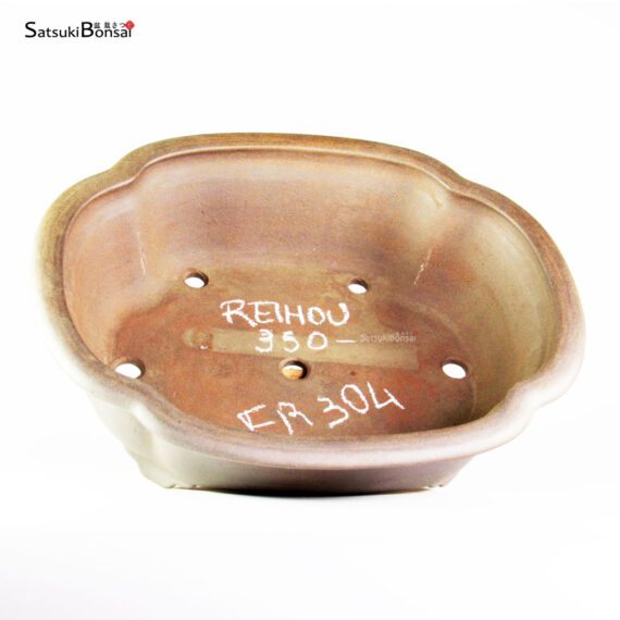 T25124 40.5x34.0x12.0 - Reihou - immagine 4