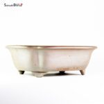 T25125 40.5x34.0x12.0 - Reihou - immagine 2