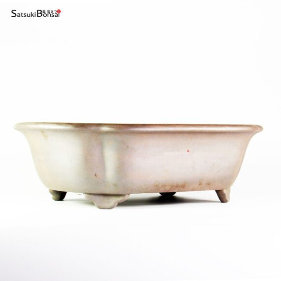 T25125 40.5x34.0x12.0 - Reihou - immagine 2