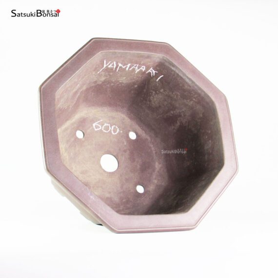 T25144 40x37.5x20.5 - Yamaaki Toshio - immagine 3