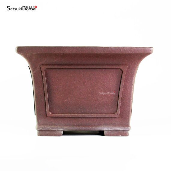 T25146 24.0x24.0x16.0 - Yamaaki Toshio - immagine 2