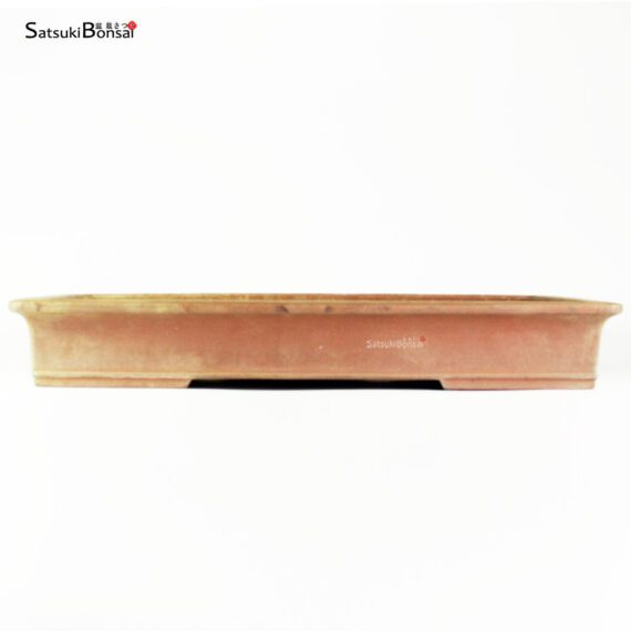 T2549 49.0x35.0x7.0 - Hekisui - immagine 2