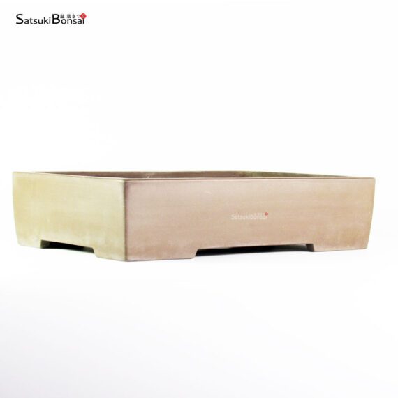 T2569 31.5x22.0x7.5 - Kataoka - immagine 1