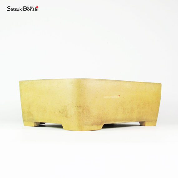 T2502 32.0x24.5x11.0 - Zenigo - immagine 1