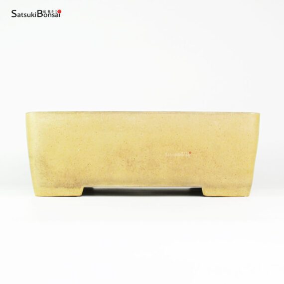 T2502 32.0x24.5x11.0 - Zenigo - immagine 2