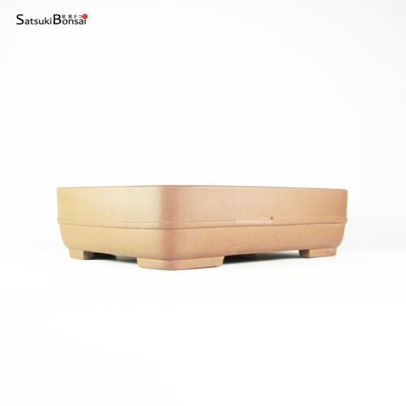 T2507_1-Masuzan T2507 35.0x26.0x9.0 - Masuzan - immagine 1