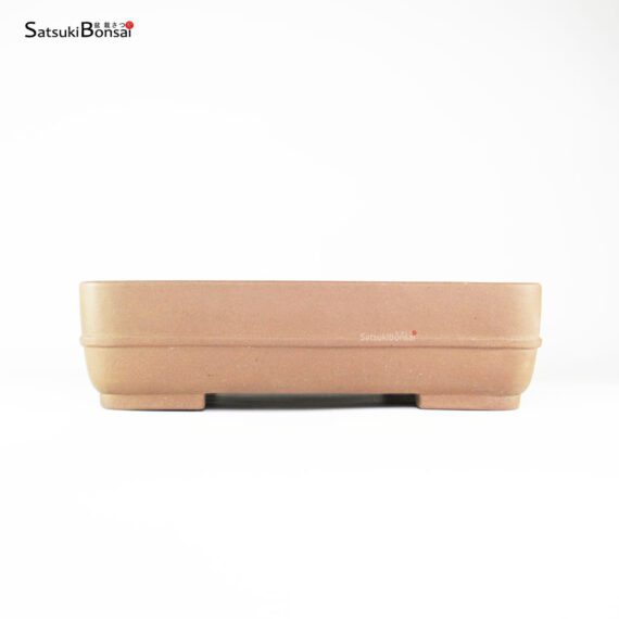 T2507_2-Masuzan T2507 35.0x26.0x9.0 - Masuzan - immagine 2