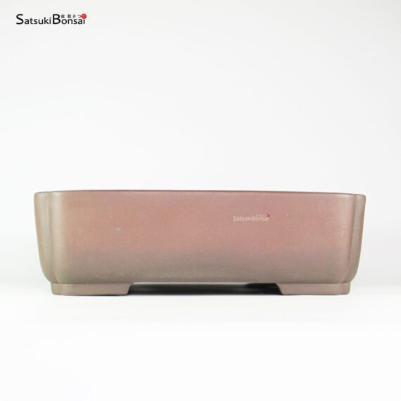 T25152_2-Yamaaki T25152 39.0x31.0x12.0 - Yamaaki - immagine 2