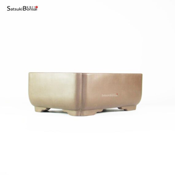 T2523_1-Yamaaki T2523 24.0x18.0x9.0 - Yamaaki - immagine 1