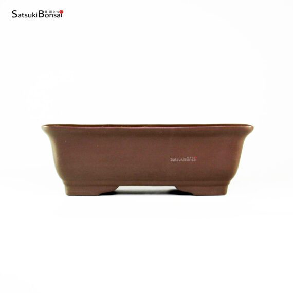 T2524 26.0x17.5x8.5 - Yamaaki - immagine 2