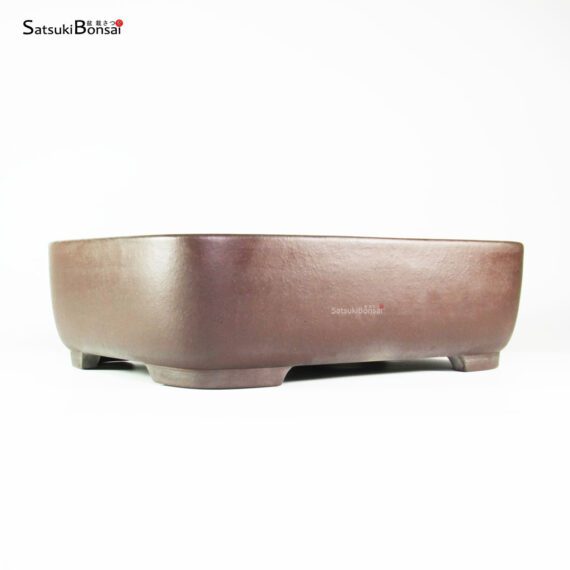 T2577 35.0x27.5x10.5 - Yamaaki - immagine 1