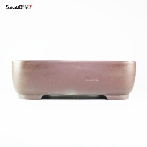 T2577 35.0x27.5x10.5 - Yamaaki - immagine 2