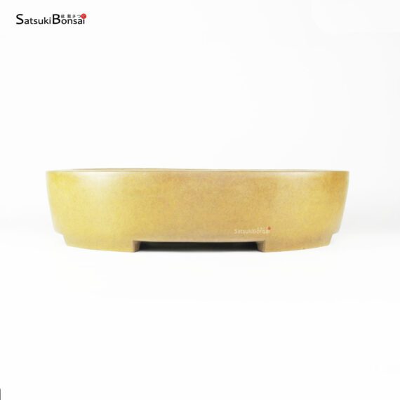 T2508 38.5x32.0x9.0 - Maruhei - immagine 2