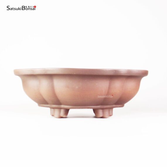 T25189 33.5x28.0x11.5 - Zenigo - immagine 1