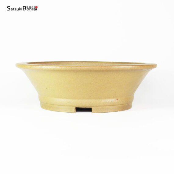 T2560_1-Yamaaki T2560 36.0x11.5- Yamaaki - immagine 1