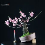 Prunus Mume - Albicocco da fiore