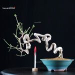 Euonymus sieboldianum